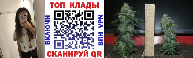Что такое Киржач ГАШИШ  APVP  Меф мяу мяу  Канабис 