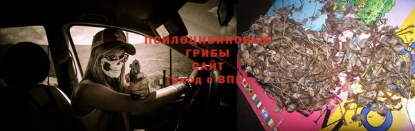 гидропоника Абинск
