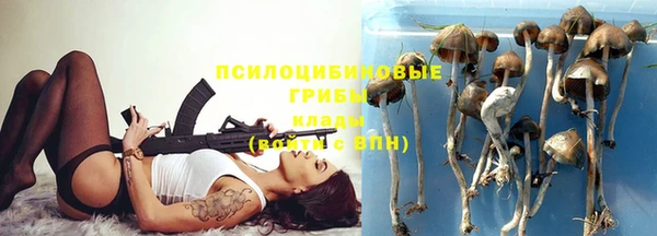 прущая мука Иннополис