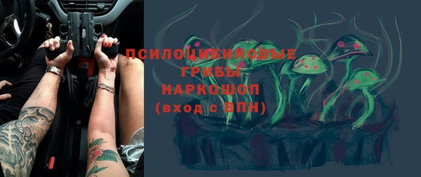 гидропоника Абинск