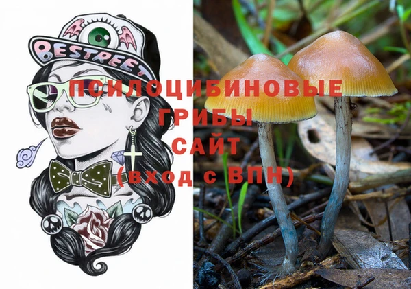 ешки Алексеевка