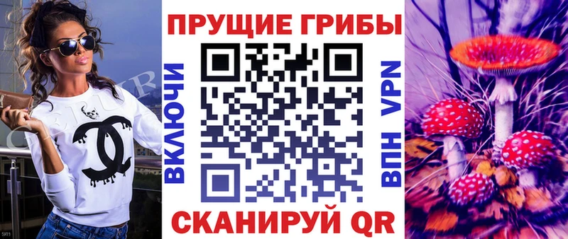 Псилоцибиновые грибы Psilocybine cubensis  мега ссылки  Киржач 